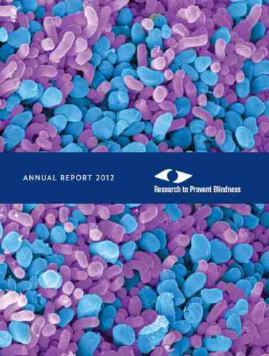 RPB 2012 Annual Report Cover