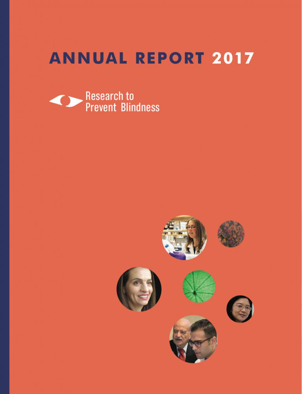RPB 2017 Annual Report Cover