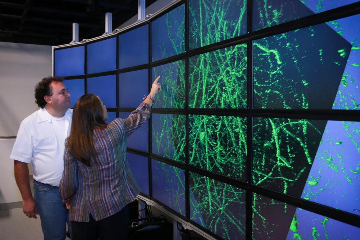 Researchers view brain map