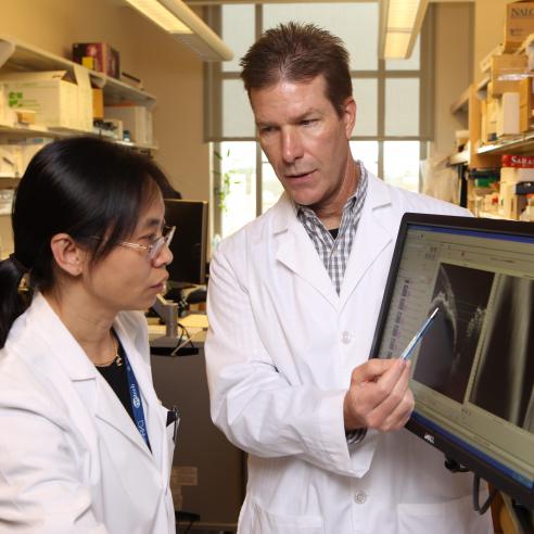 RPB Grant Recipient Dan Stamer, PhD 