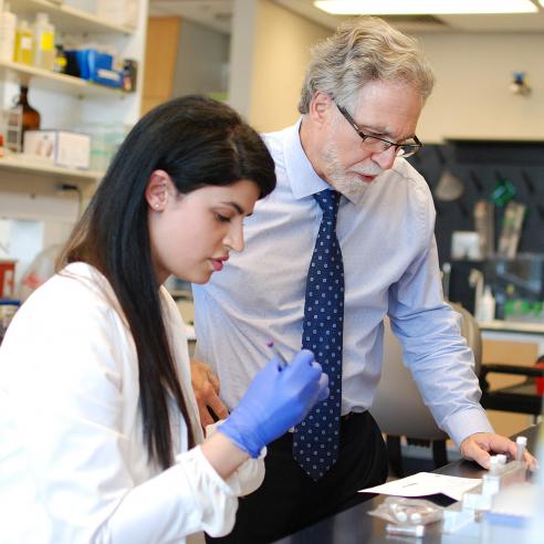 Dr. Semenza and colleague work in his lab