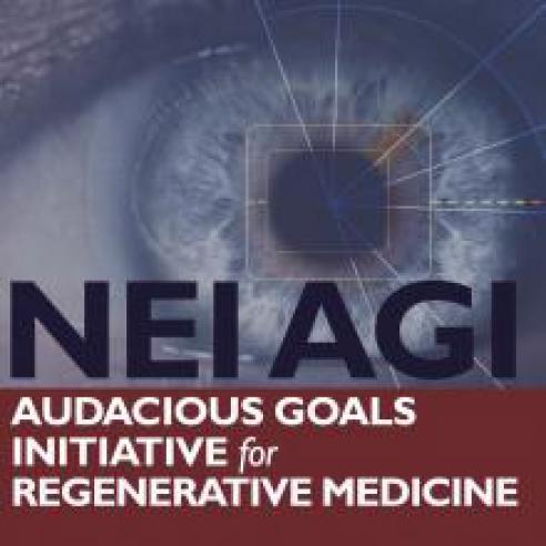 NEI Audacious Goals image and text