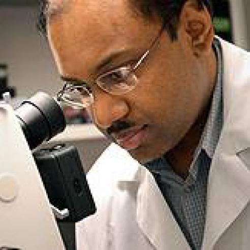 Dr. Jayakrishna Ambati.jpg