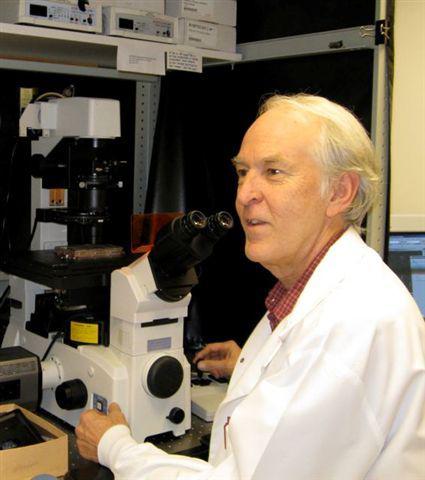 Dr. Funderburgh at a microscope