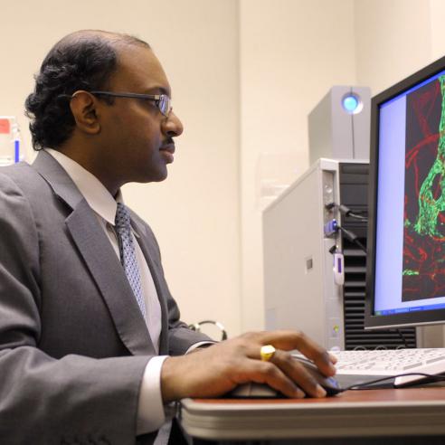 Dr. Ambati led the research team