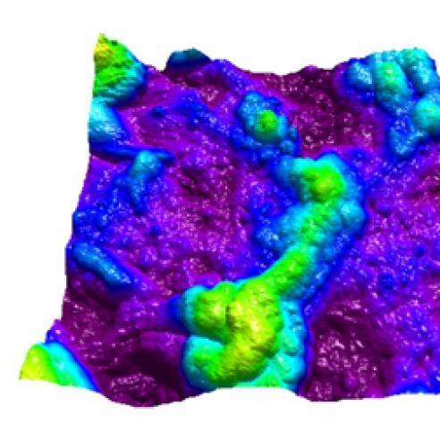 bimodal dual AC mode microscopy.jpg