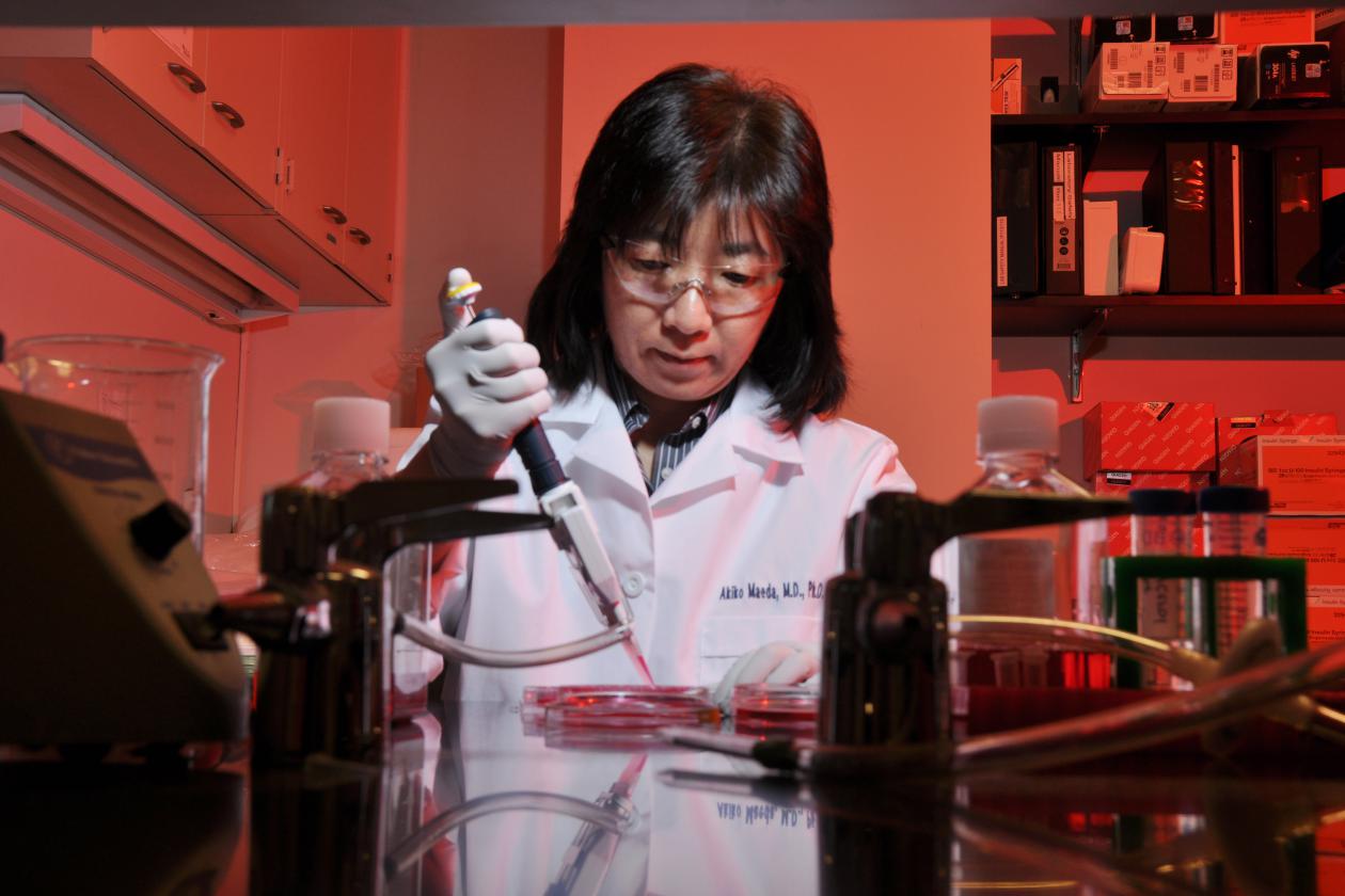 Catalyst Award Recipient Akiko Maeda, MD, PhD