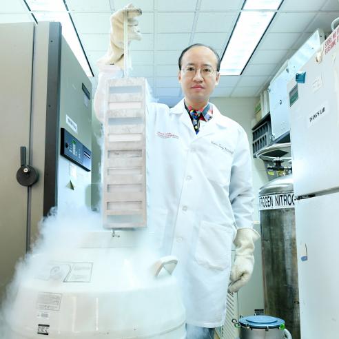 Dr. Stephen Tsang at work in the lab. 