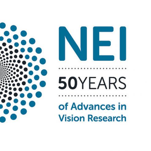 NEI 50th anniversary logo